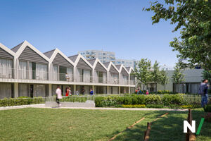 Image of 